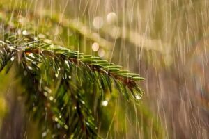 هشدار هواشناسی خوزستان، آماده باش بنادر و دریانوردان برای طوفان آذرماه