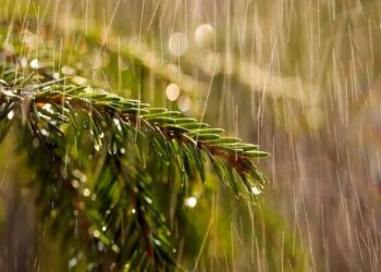 هشدار هواشناسی خوزستان، آماده باش بنادر و دریانوردان برای طوفان آذرماه